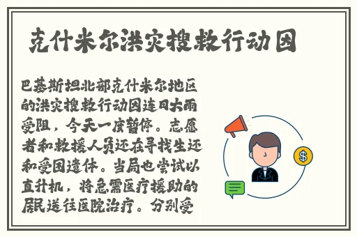 小蝌蚪在线观看免费完整最新